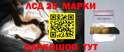 2c-b Кингисепп