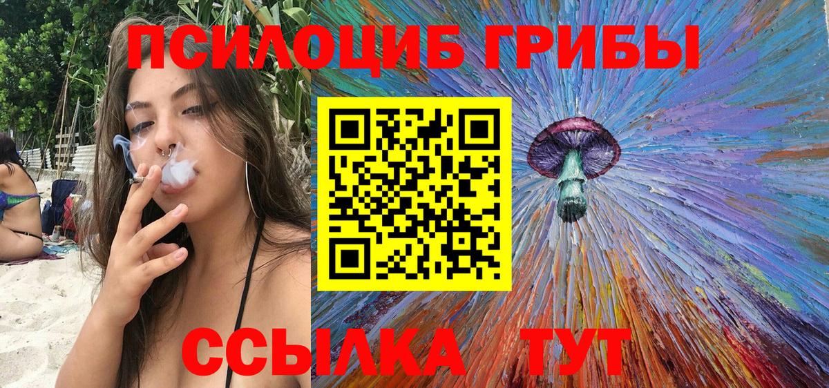 Псилоцибиновые грибы прущие грибы Унеча