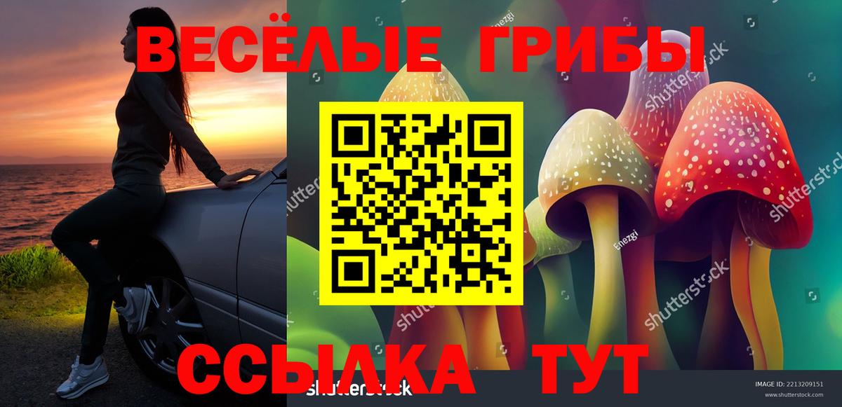 Псилоцибиновые грибы мицелий  Вход с VPN  Унеча 